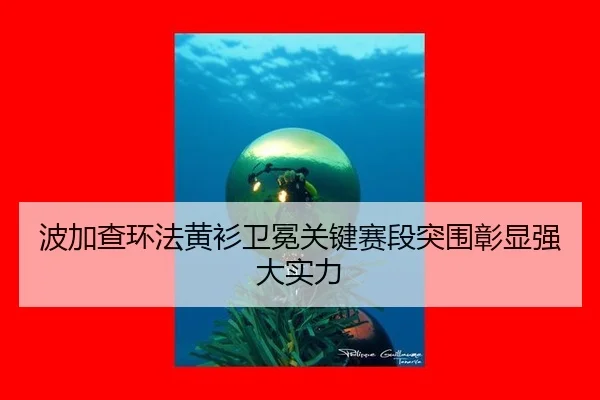 波加查环法黄衫卫冕关键赛段突围彰显强大实力